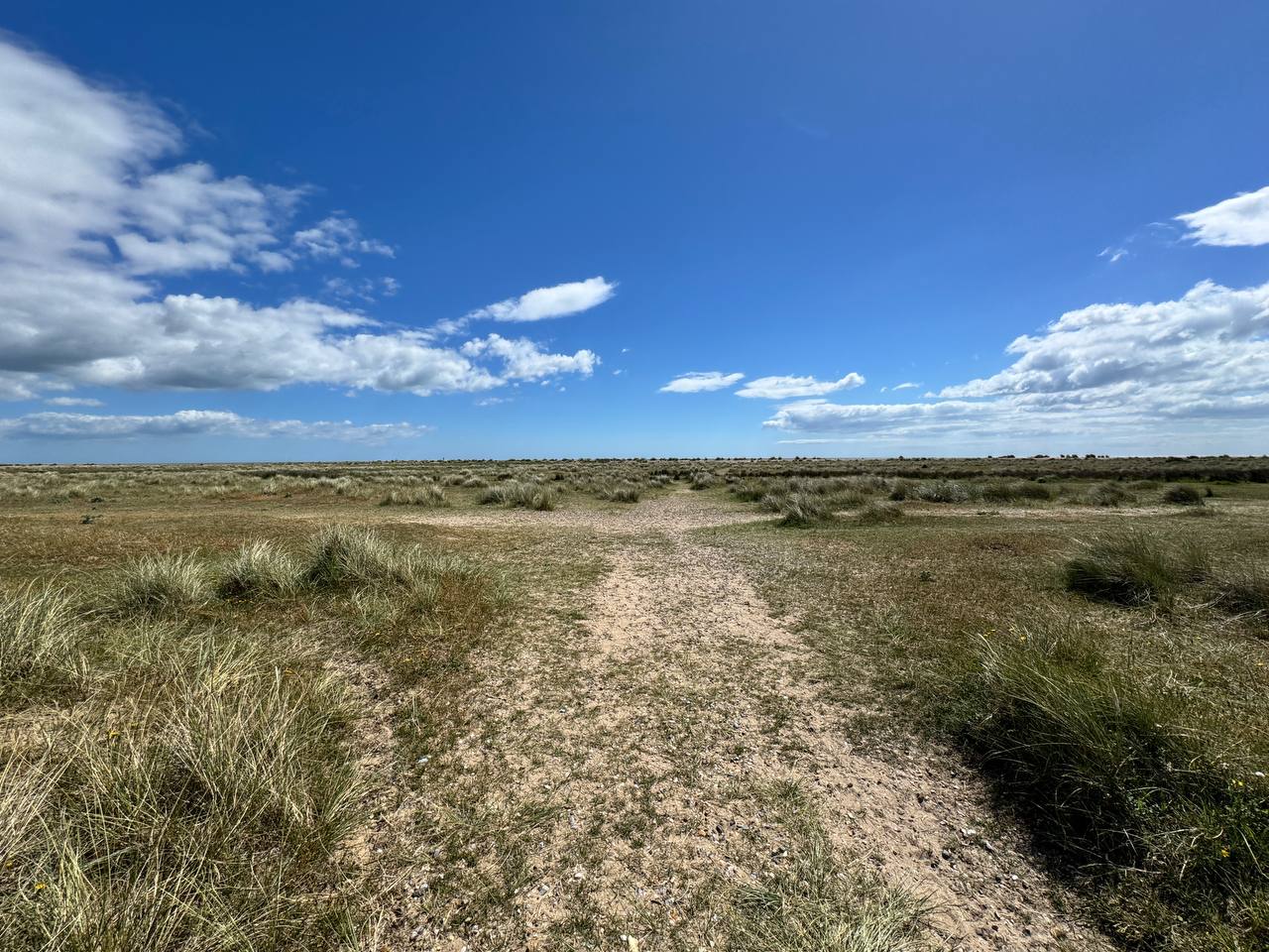 A sandy path through low coastal grass under a wide blue sky.