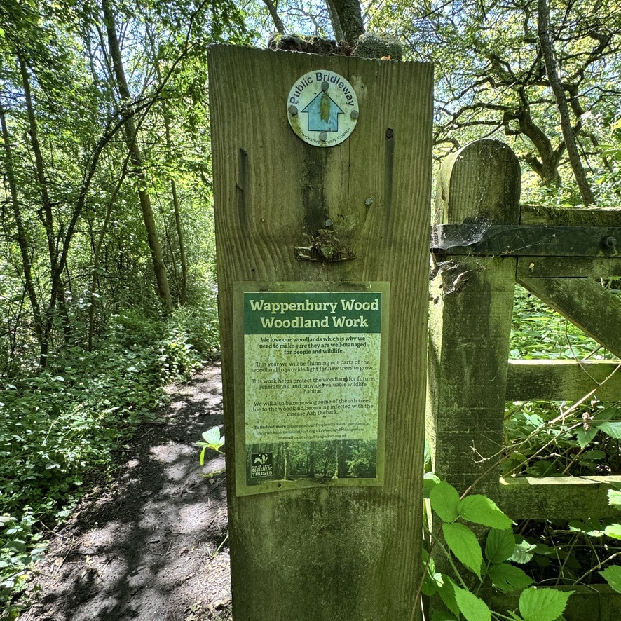 Wappenbury Wood