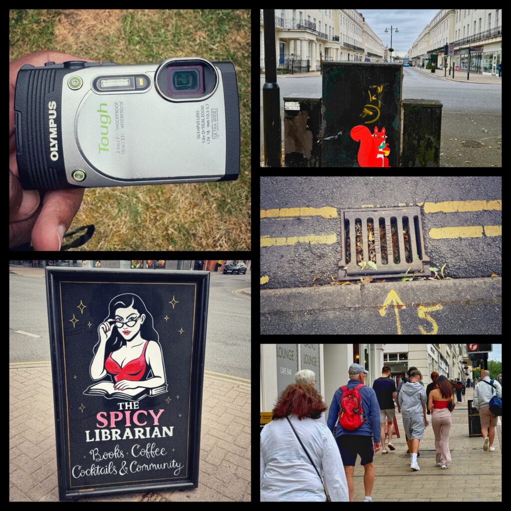 mix of pictures from the derive