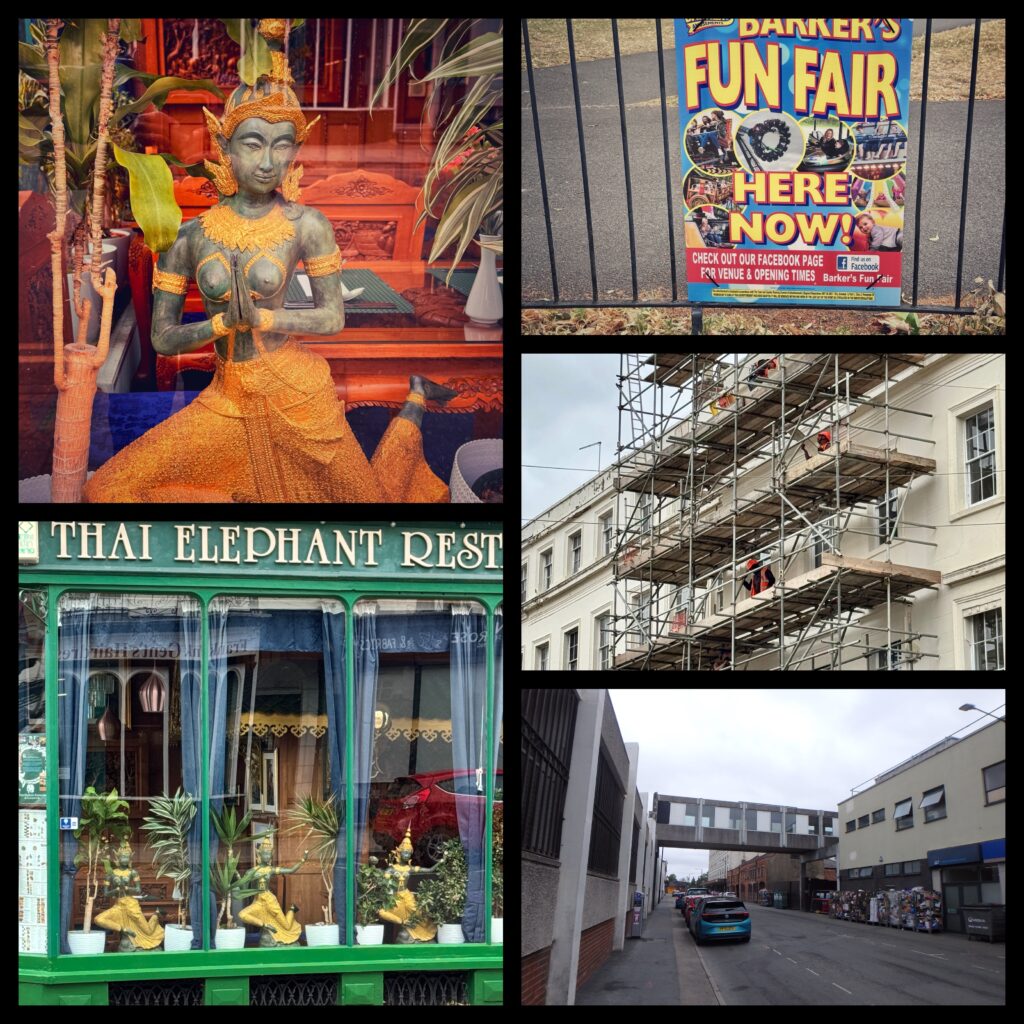mix of pictures from the derive